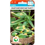 Огурец Сибирский многодетный F1 /7 семян/ *СибСад*