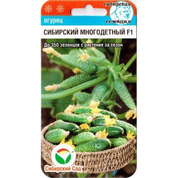 Огурец Сибирский многодетный F1 /7 семян/ *СибСад*