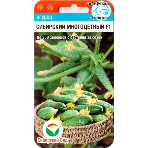 Насіння огірка Сибірський багатодітний F1 /7 насінин/ *СібСад*