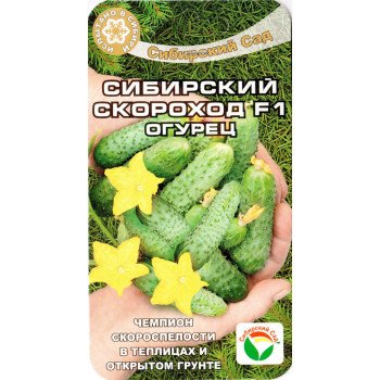 Огурец Сибирский скороход F1 /7 семян/ *СибСад*
