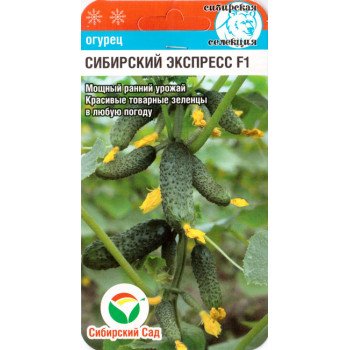 Огурец Сибирский экспресс F1 /7 семян/ *СибСад*