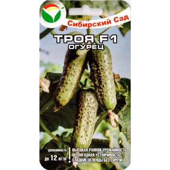 Огурец Троя F1 /5 семян/ *СибСад*