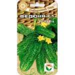 Огурец Федюня F1 /7 семян/ *СибСад*