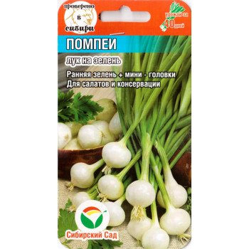 Цибуля на перо Помпеї /0,5 г/ *СібСад*