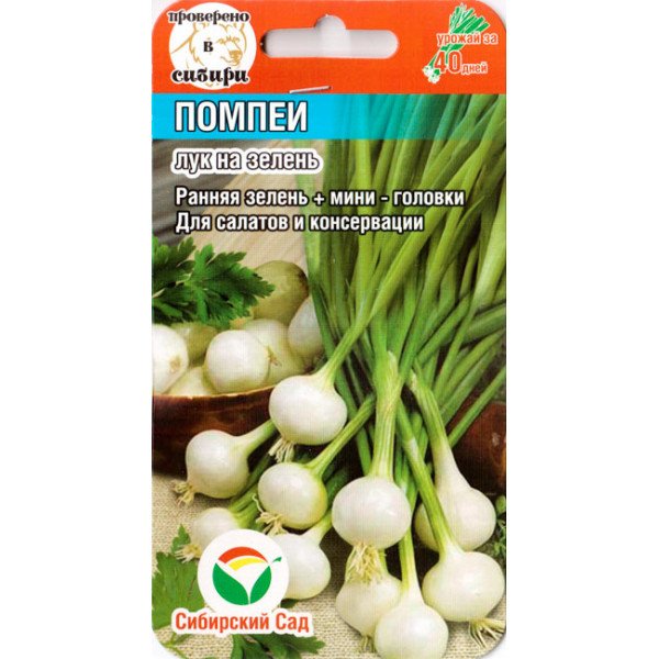 Насіння цибулі на перо Помпеї /0,5 г/ *СібСад*