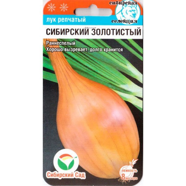Насіння цибулі Сибірський золотистий /2 г/ *СібСад*