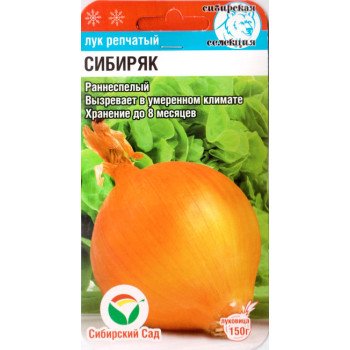 Цибуля Сибіряк /1 г/ *СібСад*