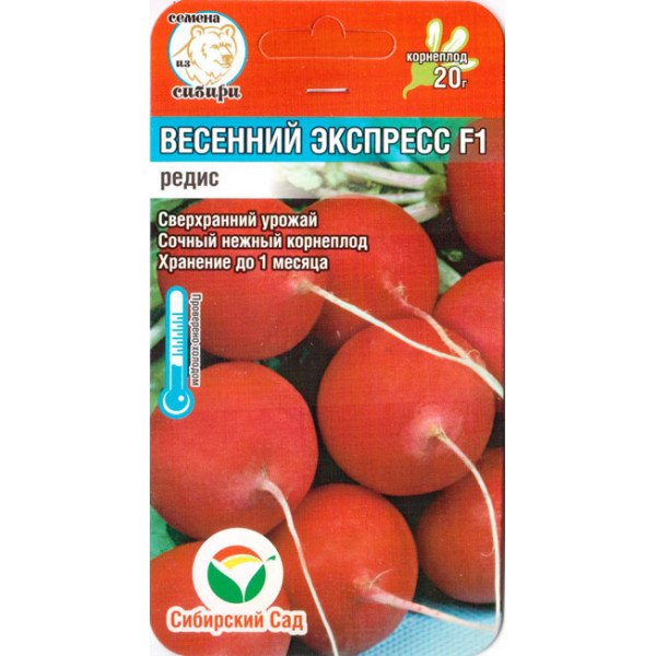 Насіння редиски Весняний експрес F1 /1 г/ *СібСад*