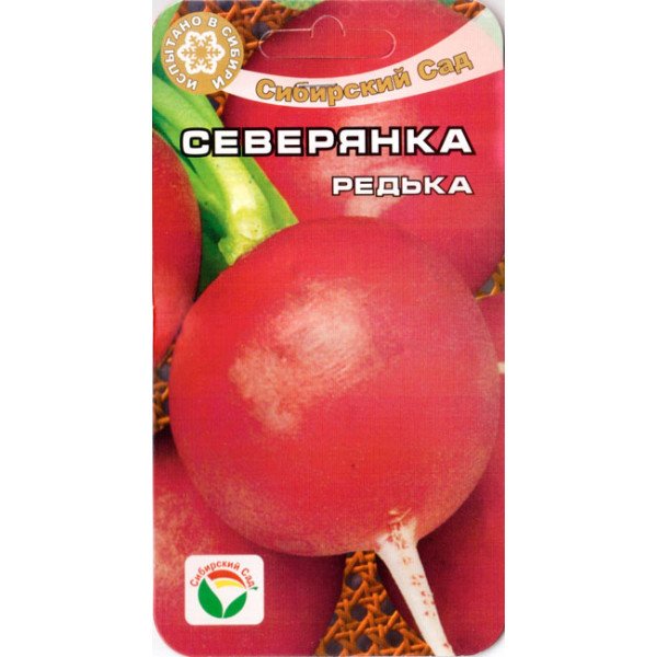 Семена редьки Северянка /1 г/ *СибСад*