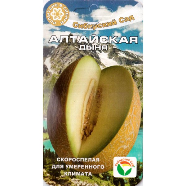 Семена дыни Алтайская /7 семян/ *СибСад*