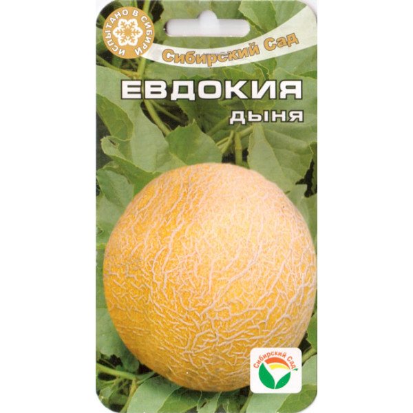 Семена дыни Евдокия /7 семян/ *СибСад*