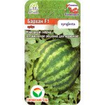 Кавун Бархан F1 /4 насінини/ *СібСад*