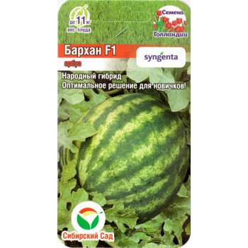 Арбуз Бархан F1 /4 семечка/ *СибСад*