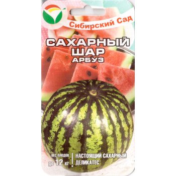 Арбуз Сахарный шар /5 семян/ *СибСад*