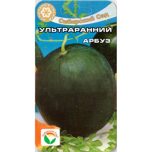 Семена арбуза Ультраранний /10 семян/ *СибСад*
