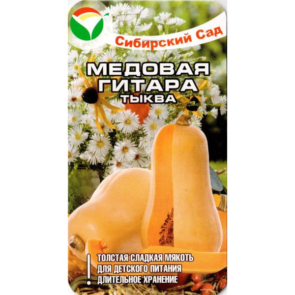Тыква Медовая гитара /5 семян/ *СибСад*