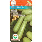 Кабачок Маэстро /3 семечки/ *СибСад*