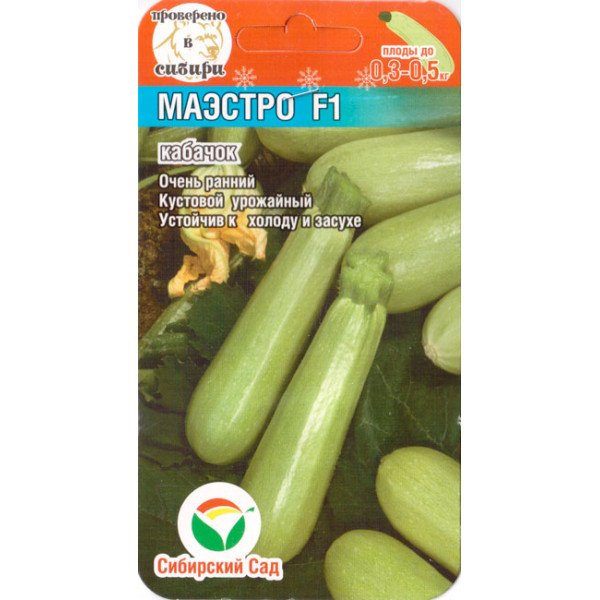 Семена кабачка Маэстро /3 семечки/ *СибСад*