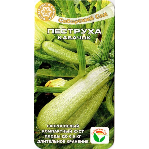 Насіння кабачка Пеструха /5 насінин/ *СібСад*