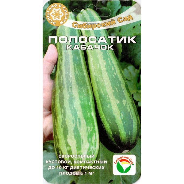 Насіння кабачка Полосатик /5 насінин/ *СибСад*
