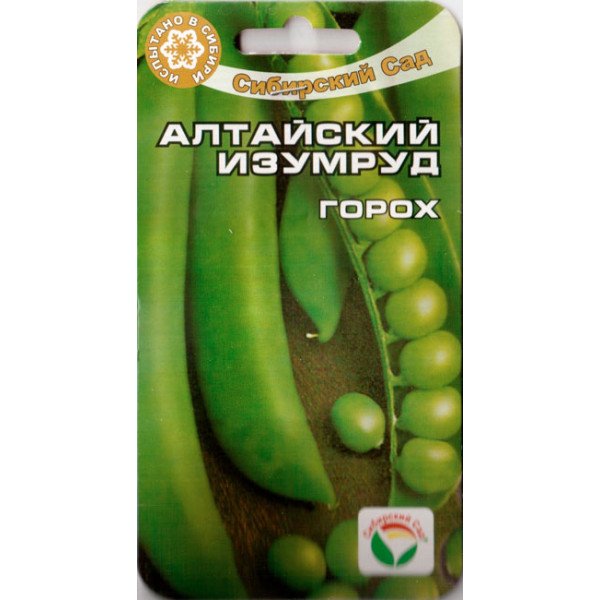 Насіння гороху Алтайський Ізумруд /5 г/ *СібСад*