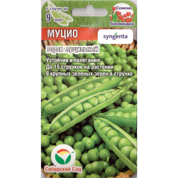 Семена гороха Муцио /4 г/ *СибСад*