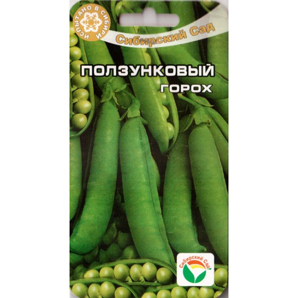 Насіння гороху Повзунковий /5 г/ *СібСад*