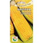 Кукурудза цукрова Билина /6 насінин/ *СібСад*