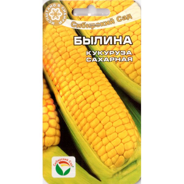 Насіння кукурудзи цукрової Билина /6 насінин/ *СібСад*