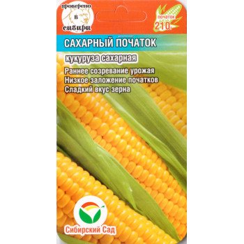 Кукуруза сахарная Сахарный початок /6 семян/ *СибСад*