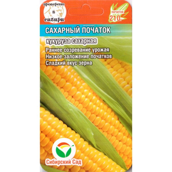 Семена кукурузы сахарной Сахарный початок /6 семян/ *СибСад*