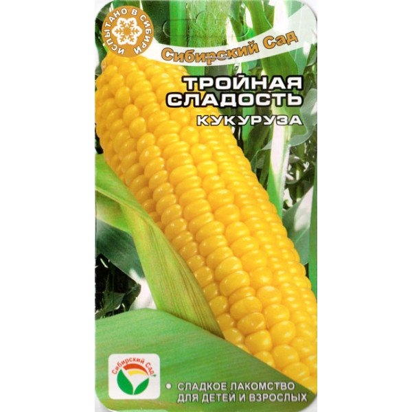 Насіння кукурудзи цукрової Потрійна насолода /10 насінин/ *СібСад*