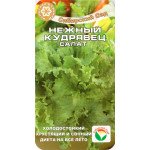 Салат Ніжний кудрявець /1 г/ *СібСад*