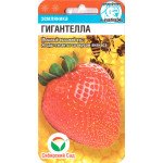 Полуниця Гігантелла /10 насінин/ *СибСад*