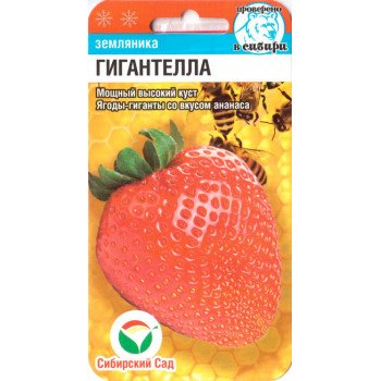Клубника Гигантелла /10 семян/ *СибСад*