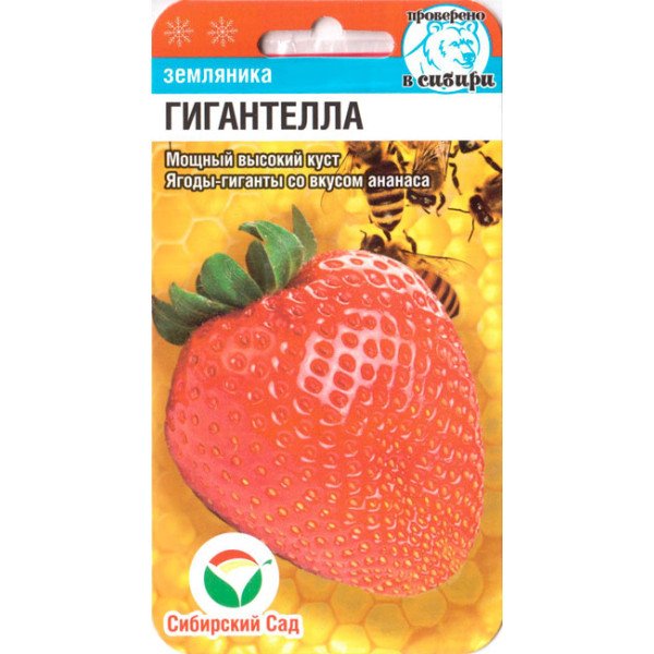 Насіння полуниці Гігантелла /10 насінин/ *СибСад*