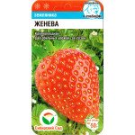 Клубника Женева /10 семян/ *СибСад*