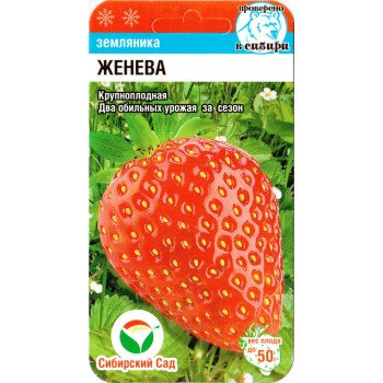 Клубника Женева /10 семян/ *СибСад*