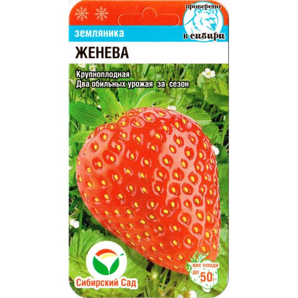Насіння полуниці Женева /10 насінин/ *СібСад*