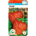 Клубника Зефир /10 семян/ *СибСад*