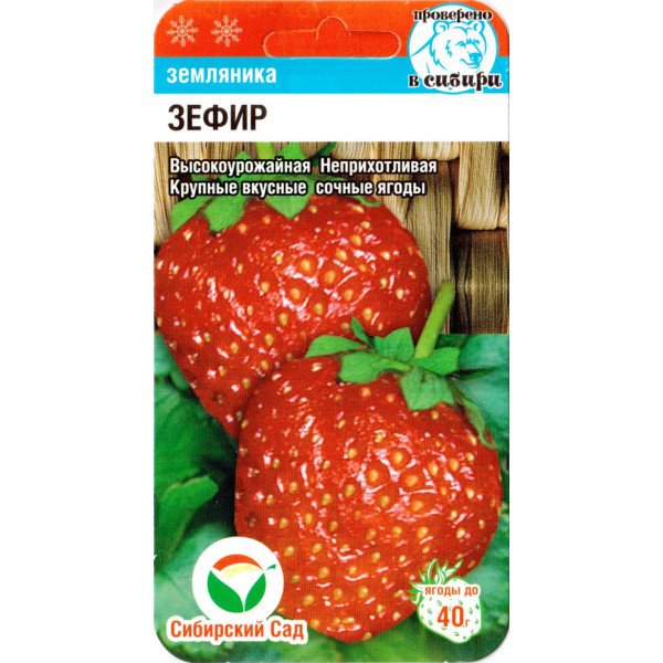 Насіння полуниці Зефір /10 насінин/ *СібСад*