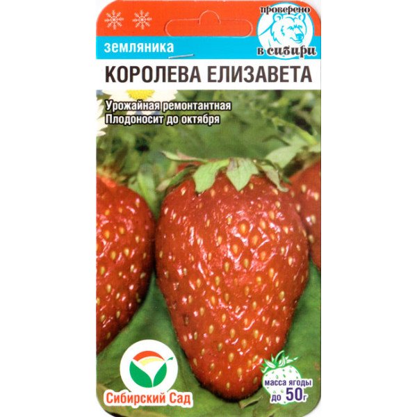 Семена клубники Королева Елизавета /10 семян/ *СибСад*