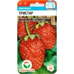 Полуниця Тристар /10 насінин/ *СибСад*