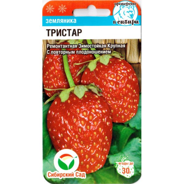 Насіння полуниці Тристар /10 насінин/ *СибСад*