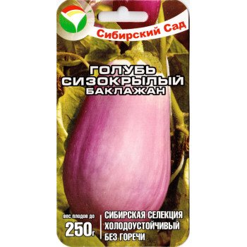 Баклажан Голуб сизокрилий /20 насінин/ *СібСад*