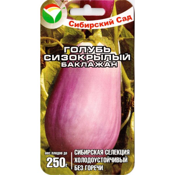 Семена баклажана Голубь сизокрылый /20 семян/ *СибСад*