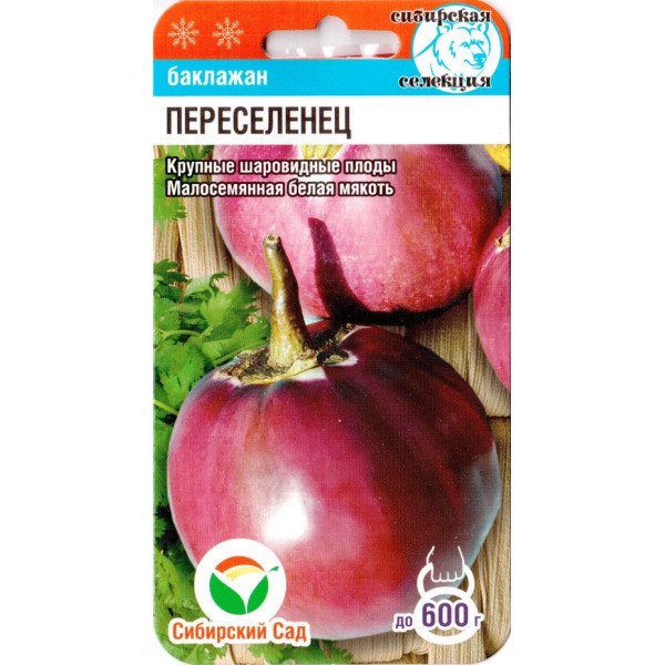 Семена баклажана Переселенец /20 семян/ *СибСад*