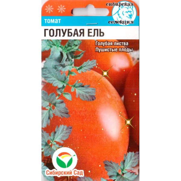 Семена томата Голубая ель F1 /20 семян/ *СибСад*