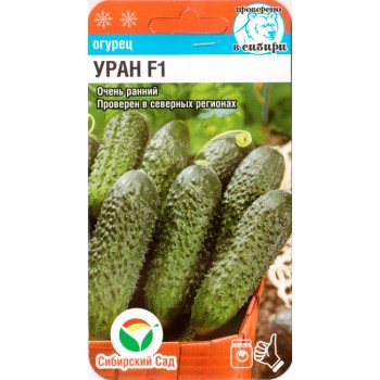 Огурец Уран F1 /5 семян/ *СибСад*