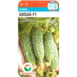 Огірок Шоша F1 /5 насінин/ *СібСад*